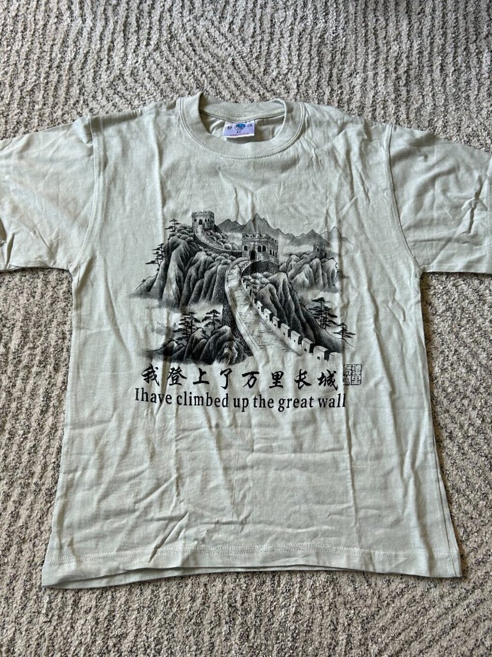 "I Have Climbed Up The Great Wall" Souvenir Great Wall of China Shirt!